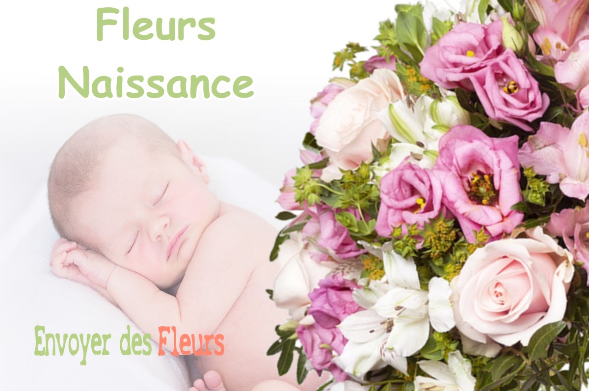 lIVRAISON FLEURS NAISSANCE à GUERPONT